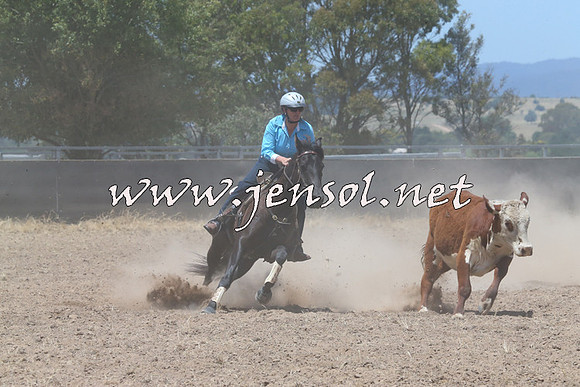 BraidwoodCampdraft2014_0992