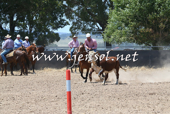 BraidwoodCampdraft2014_0870