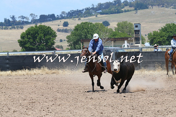 BraidwoodCampdraft2014_1044