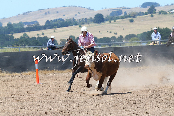 BraidwoodCampdraft2014_0817