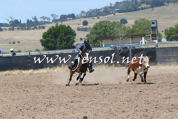 BraidwoodCampdraft2014_0843