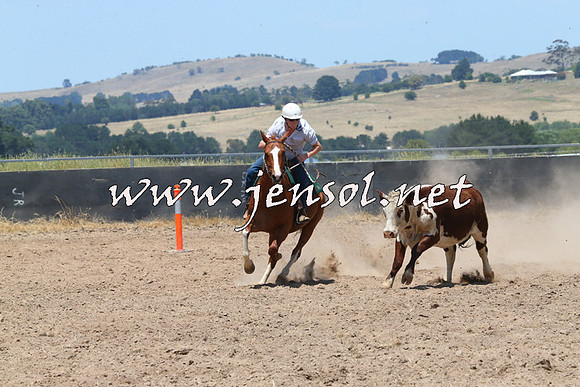 BraidwoodCampdraft2014_0956