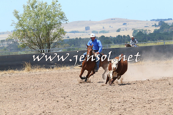 BraidwoodCampdraft2014_0829