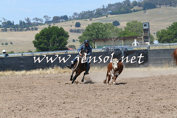 BraidwoodCampdraft2014_0846