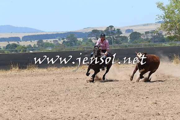 BraidwoodCampdraft2014_0923