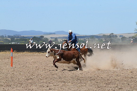 BraidwoodCampdraft2014_0915