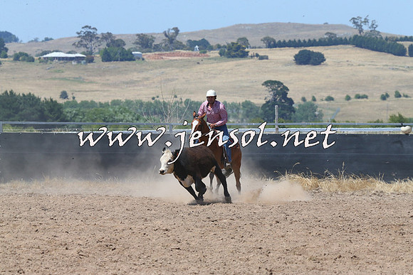 BraidwoodCampdraft2014_0719