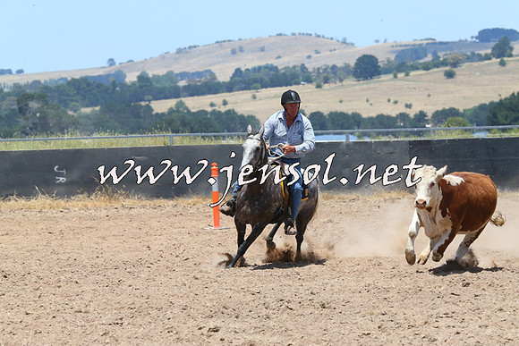BraidwoodCampdraft2014_1016