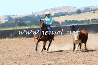 BraidwoodCampdraft2014_0646