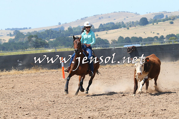 BraidwoodCampdraft2014_0646