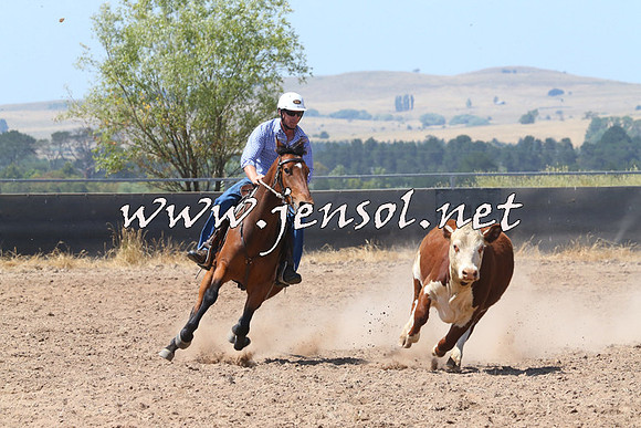 BraidwoodCampdraft2014_0680