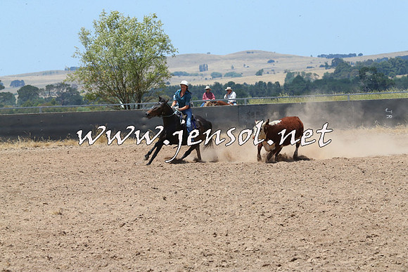 BraidwoodCampdraft2014_0918