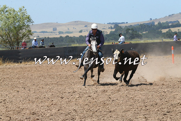 BraidwoodCampdraft2014_0736