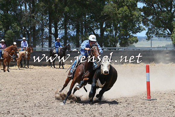 BraidwoodCampdraft2014_1058