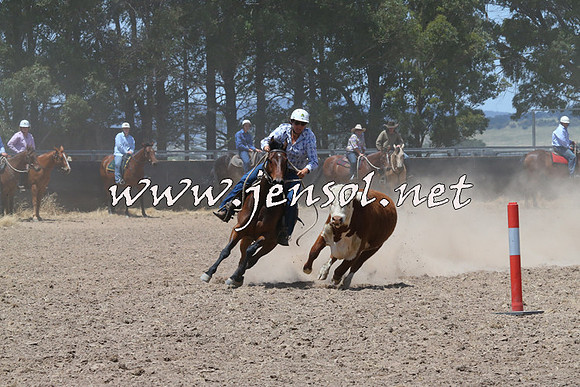 BraidwoodCampdraft2014_0985