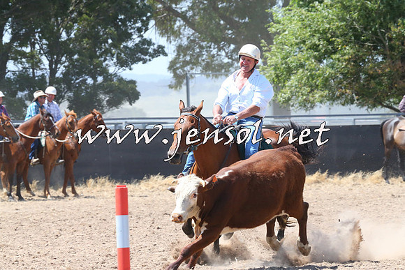 BraidwoodCampdraft2014_0703