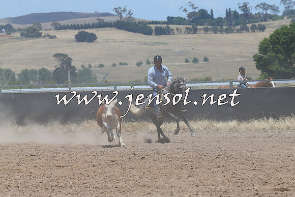 BraidwoodCampdraft2014_1019