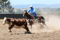 BraidwoodCampdraft2014_0665