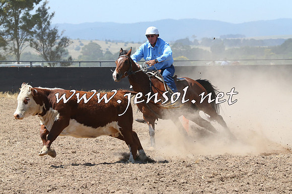 BraidwoodCampdraft2014_0665