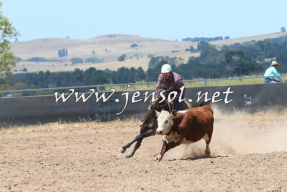 BraidwoodCampdraft2014_0881