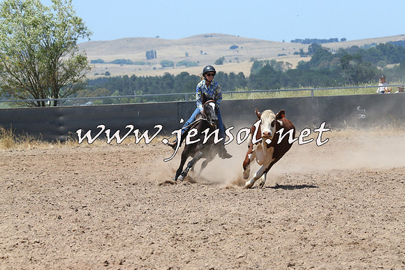 BraidwoodCampdraft2014_0803