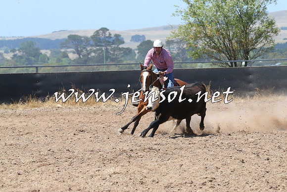 BraidwoodCampdraft2014_0710