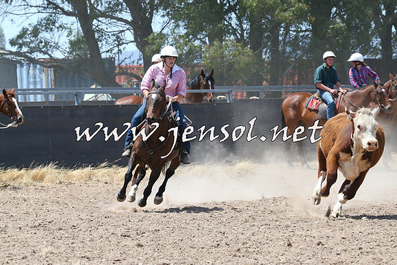 BraidwoodCampdraft2014_0821