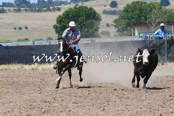 BraidwoodCampdraft2014_0727