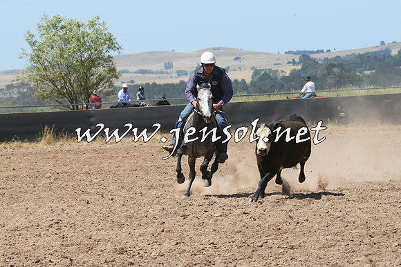 BraidwoodCampdraft2014_0733