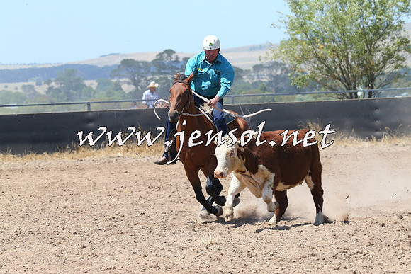 BraidwoodCampdraft2014_0779