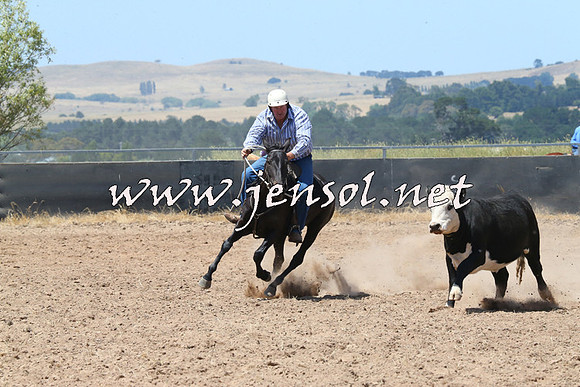 BraidwoodCampdraft2014_0798