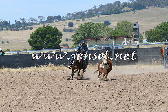 BraidwoodCampdraft2014_0844