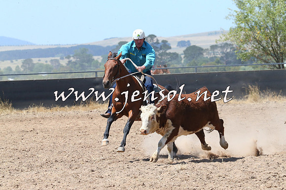 BraidwoodCampdraft2014_0780