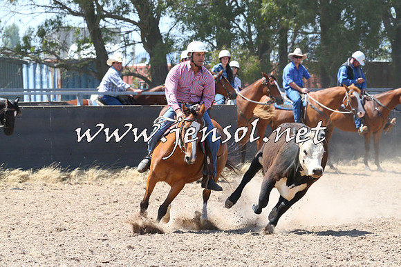 BraidwoodCampdraft2014_0724