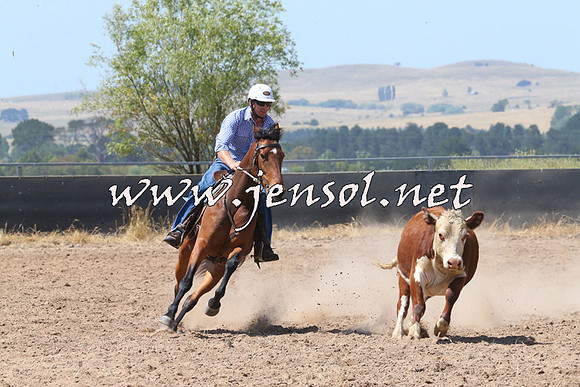 BraidwoodCampdraft2014_0681