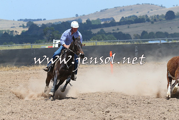 BraidwoodCampdraft2014_1071