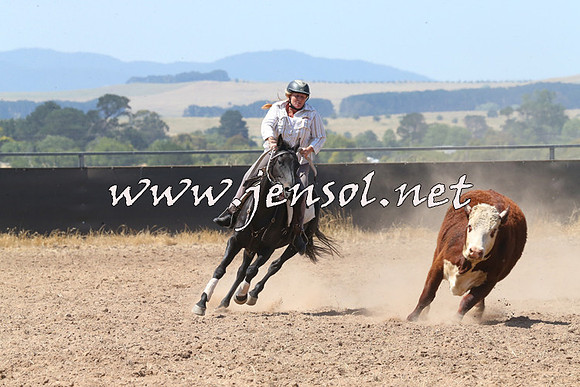 BraidwoodCampdraft2014_0689