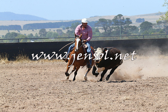 BraidwoodCampdraft2014_0708