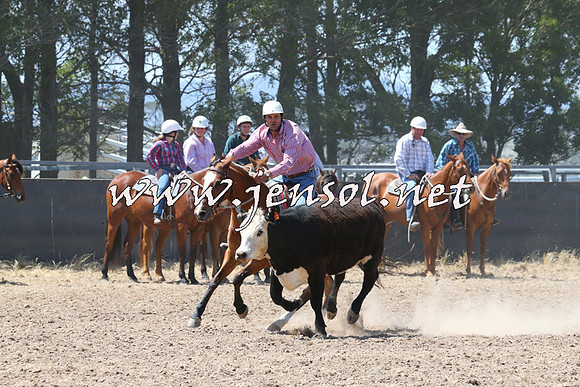 BraidwoodCampdraft2014_0720