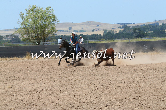 BraidwoodCampdraft2014_0919