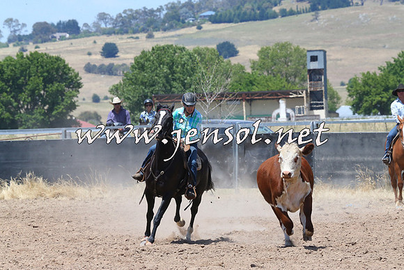 BraidwoodCampdraft2014_0807
