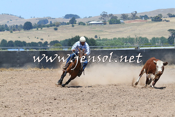 BraidwoodCampdraft2014_1000