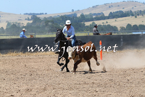 BraidwoodCampdraft2014_0768