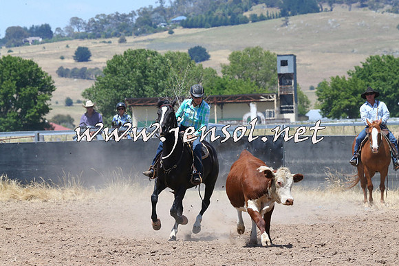 BraidwoodCampdraft2014_0806