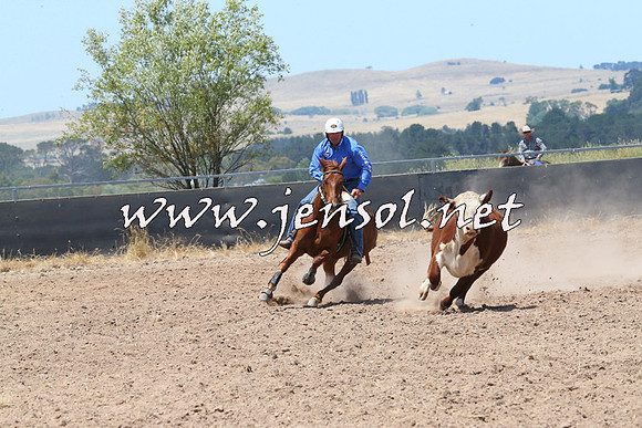 BraidwoodCampdraft2014_0828