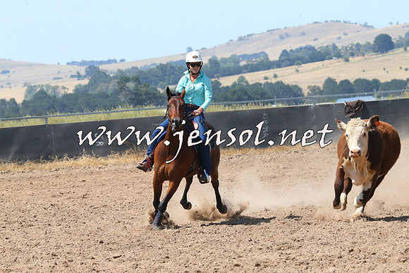 BraidwoodCampdraft2014_0643