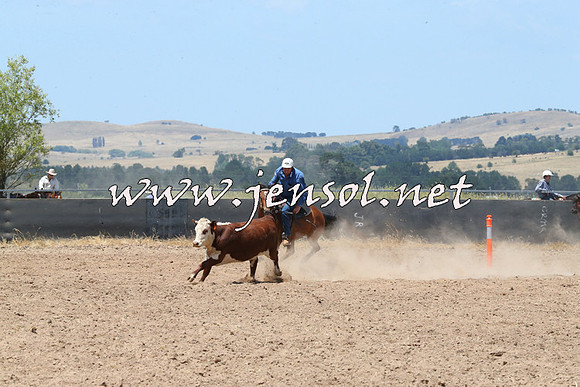 BraidwoodCampdraft2014_0910