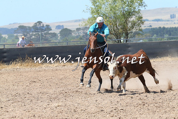 BraidwoodCampdraft2014_0782