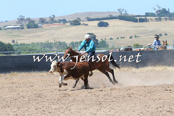 BraidwoodCampdraft2014_0777
