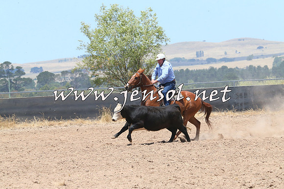 BraidwoodCampdraft2014_1040
